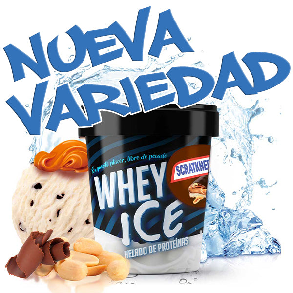 PACK DE 6 unidades de Helados de proteínas